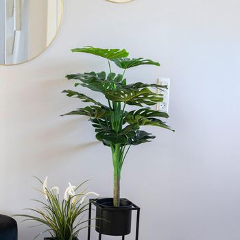 Plant Monstera Artificial Decor Plastic, Fabric, Wire and Cement Green