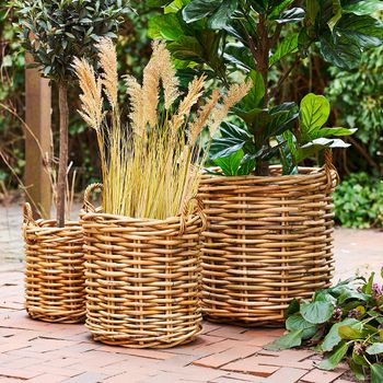 Set of 3 Burton Rattan Basket Natural Decor