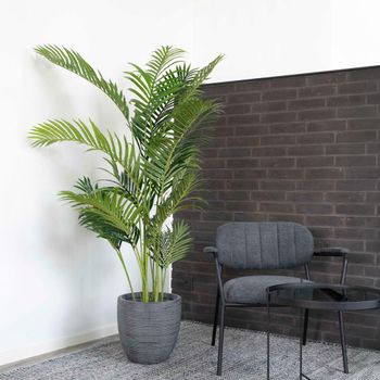 Cecilia Areca Palm Green Decor