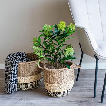 Green Skimmia Tree Decor Plastic