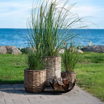 Set of 3 Hanoi Planter Waterhyacinth Natural Water Hyacinth
