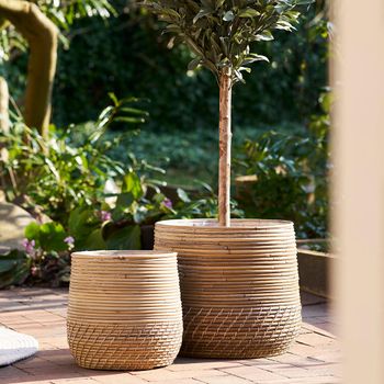 Set of 2 Moro Kubu Rattan Basket Natural Decor