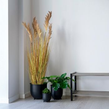 Natural Sorghum Grass Decor