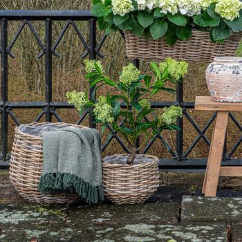 Set of 2 Pulo Brown Basket Kubu Rattan Decor