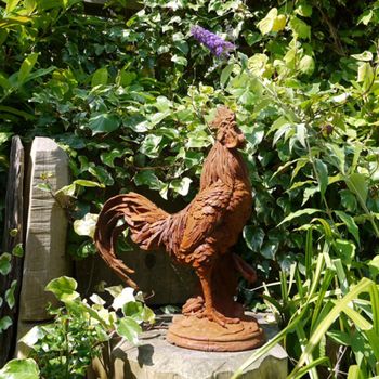 Rusty Brown Large Garden Cockerel Statue