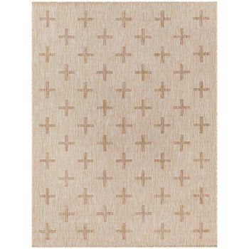 Tuareg Beige Rug - TRG2357 - Sizes Available