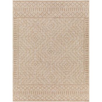 Tuareg Brown Rug - TRG2354 - Sizes Available
