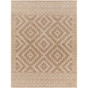 Tuareg Brown Rug - TRG2351 - Sizes Available