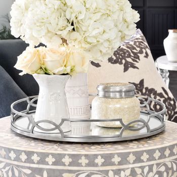 Anna Grey Mirrored Tray Chrome Decor