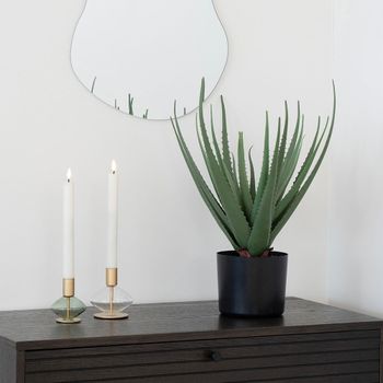 Aloe Vera Plant Artificial Decor Plastic Green