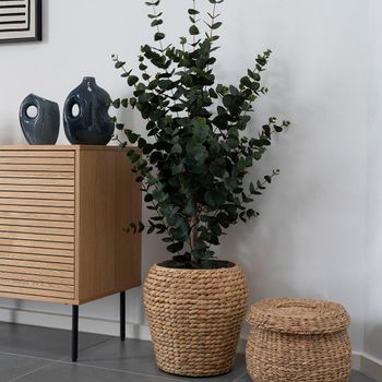 Tree Artificial Eucalyptus Decor Plastic, Fabric, Wire and Cement Green
