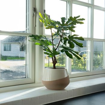 Tree Artificial Fig Decor Plastic Green