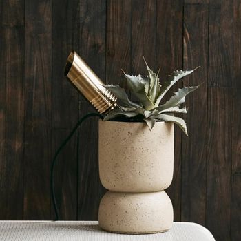 Bragi Brass Outdoor Spike Lamp