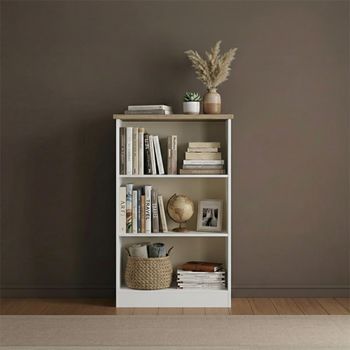 Vienna Porcelain Bookcase