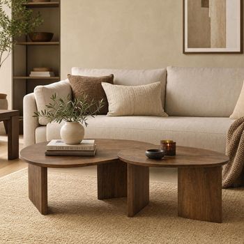 Set of 2 Abstract Natural Mango Wood Coffee Table