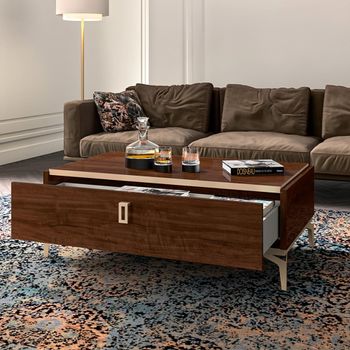 Modern Eva Storage Walnut with Gold Trim 1 Drawer Coffee Table