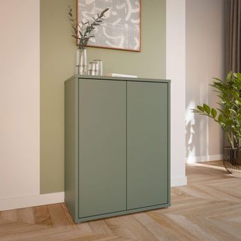 Alice Springs Sage Green 2 Door Cupboard