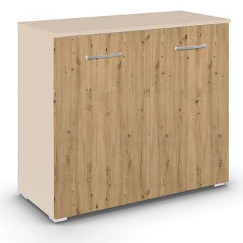 Aditio 2 Door Cupboard Champagne and Artisan Oak