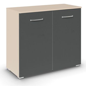 Aditio 2 Door Cupboard Champagne and Metallic Dark Grey