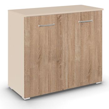 Aditio 2 Door Cupboard Champagne and Sonoma Oak