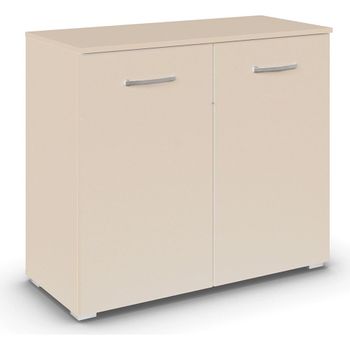 Aditio Champagne 2 Door Cupboard