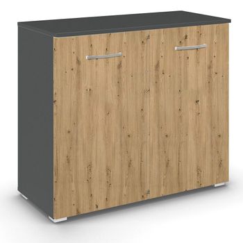 Aditio 2 Door Cupboard Metallic Dark Grey and Artisan Oak
