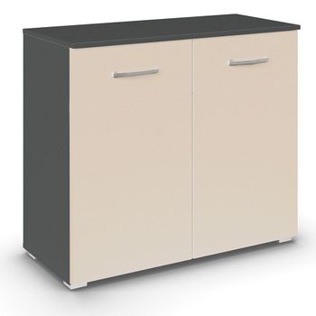 Aditio 2 Door Cupboard Metallic Dark Grey and Champagne