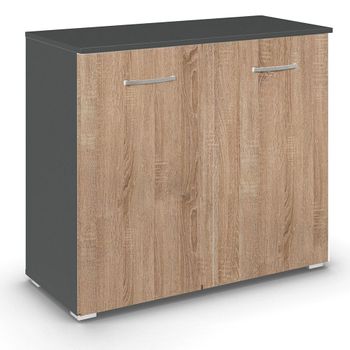 Aditio 2 Door Cupboard Metallic Dark Grey and Sonoma Oak