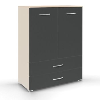 Aditio 2 Door Cupboard 2 Bottom Drawer Champagne and Metallic Dark Grey
