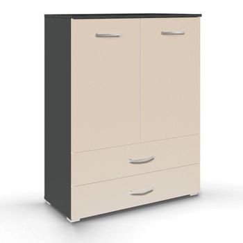 Aditio 2 Door Cupboard 2 Bottom Drawer Metallic Dark Grey and Champagne