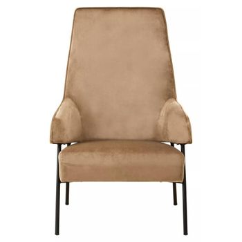 Henia Mink Velvet Fabric Armchair