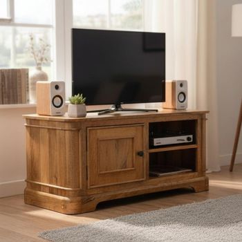 Nalandra Mango Wood 95cm Compact 1 Door TV Unit