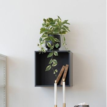 Horne Dark Grey Square Wall Shelf