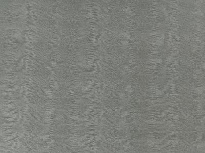 B005 : Econabuck Light Grey Lizard