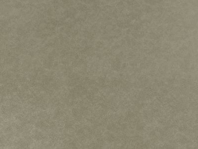 I066 : Econabuck Beige Vintage Effect