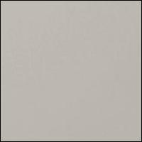 Champagne with Champagne Faux Leather 602