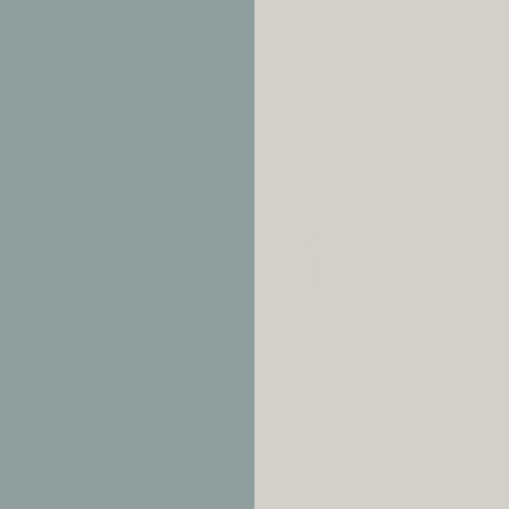 Duck Front and Grey Matt Base