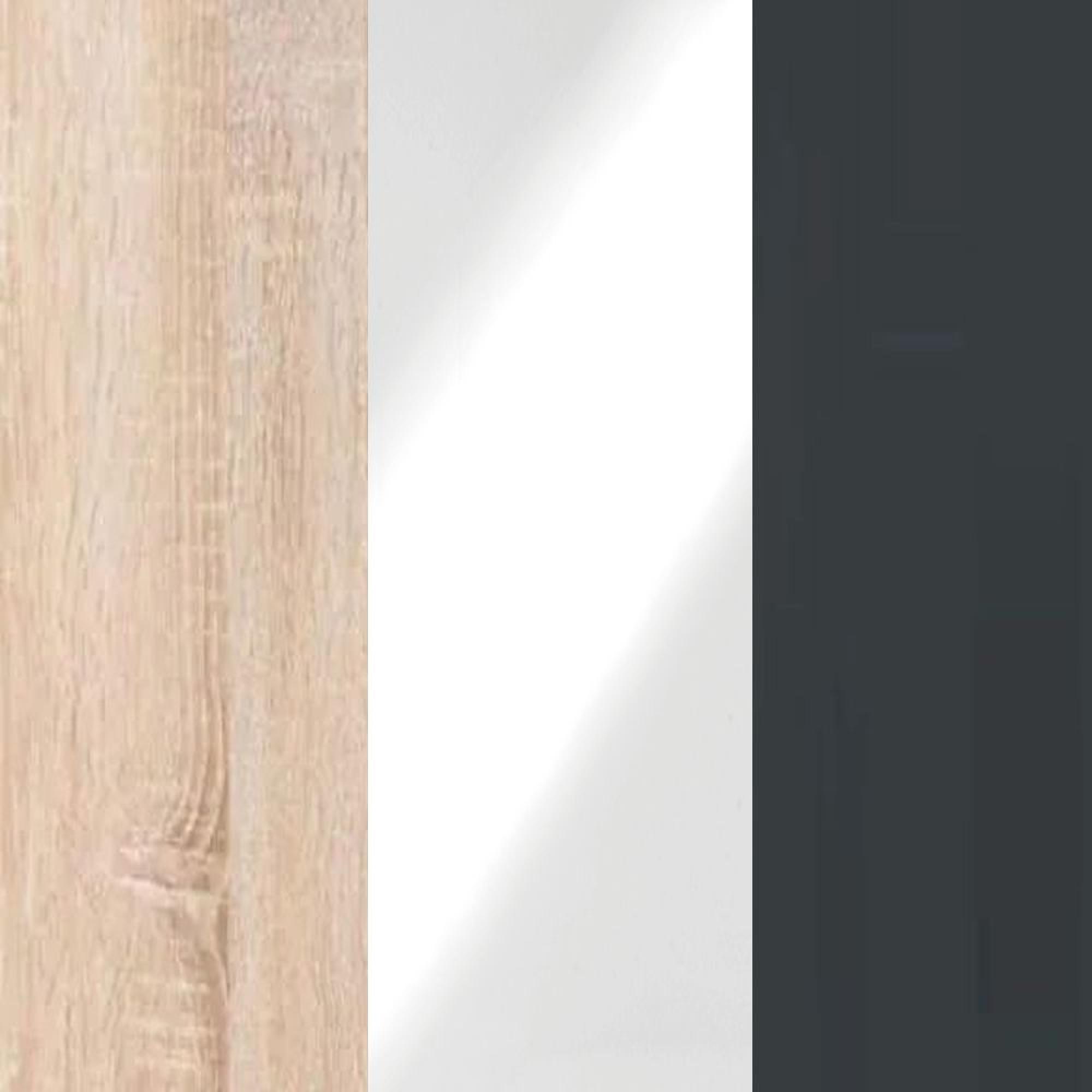 Rustic Oak Carcase and White Glass Front with Slate Handle 605