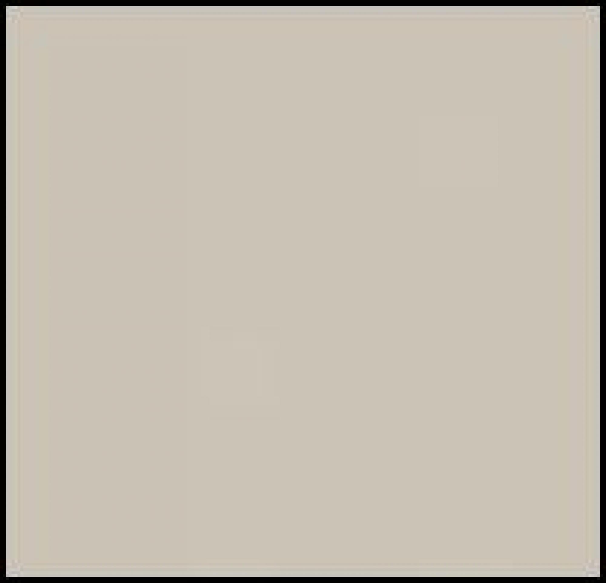 Champagne AD368 - Aluminium-Coloured Handles