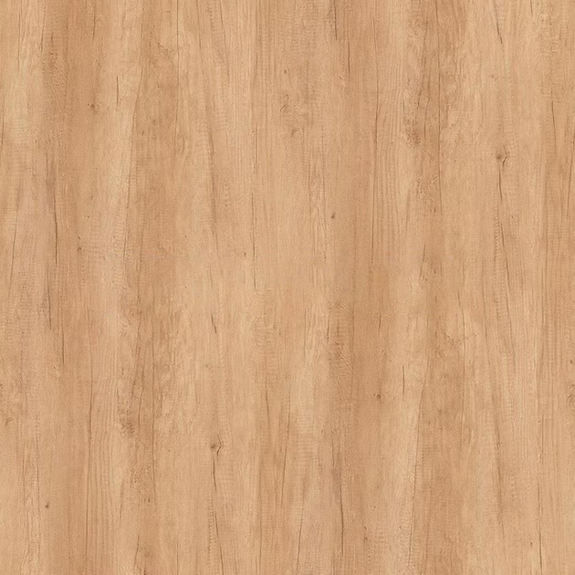Nebraska Oak