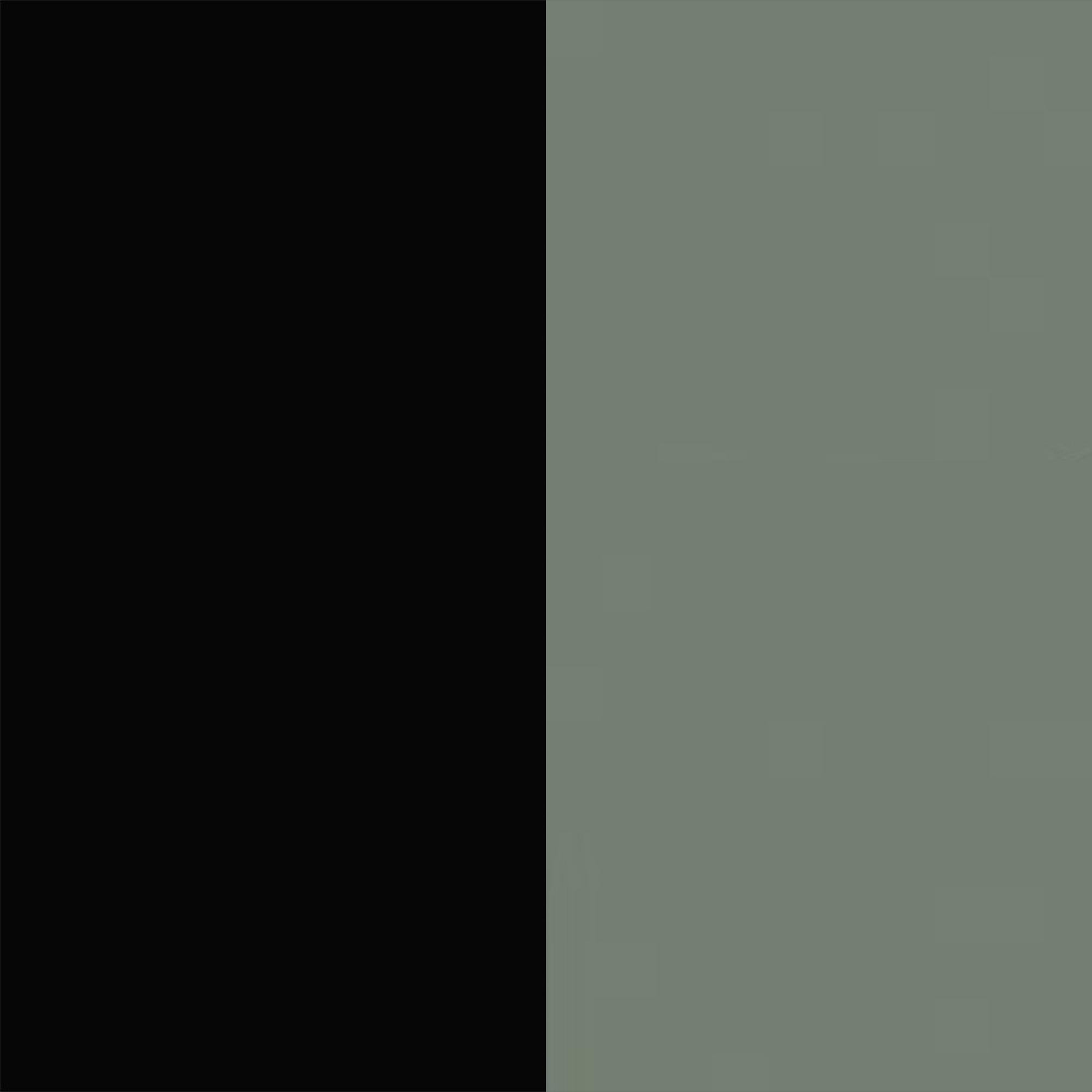 Black Gloss Front and Reed Green Base
