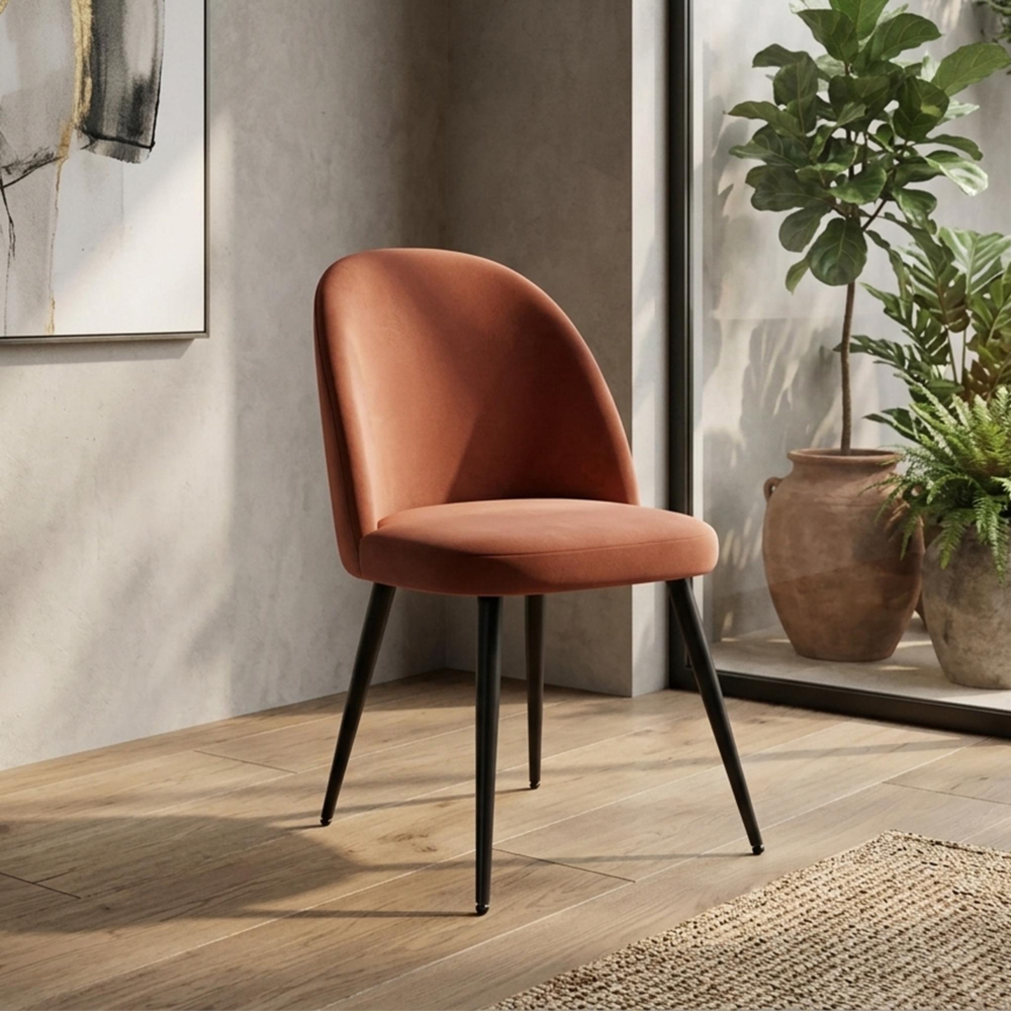 Clearance - Gabi Dining Chair - Set of 2 - Coral Velvet - Black Legs - FSS15756