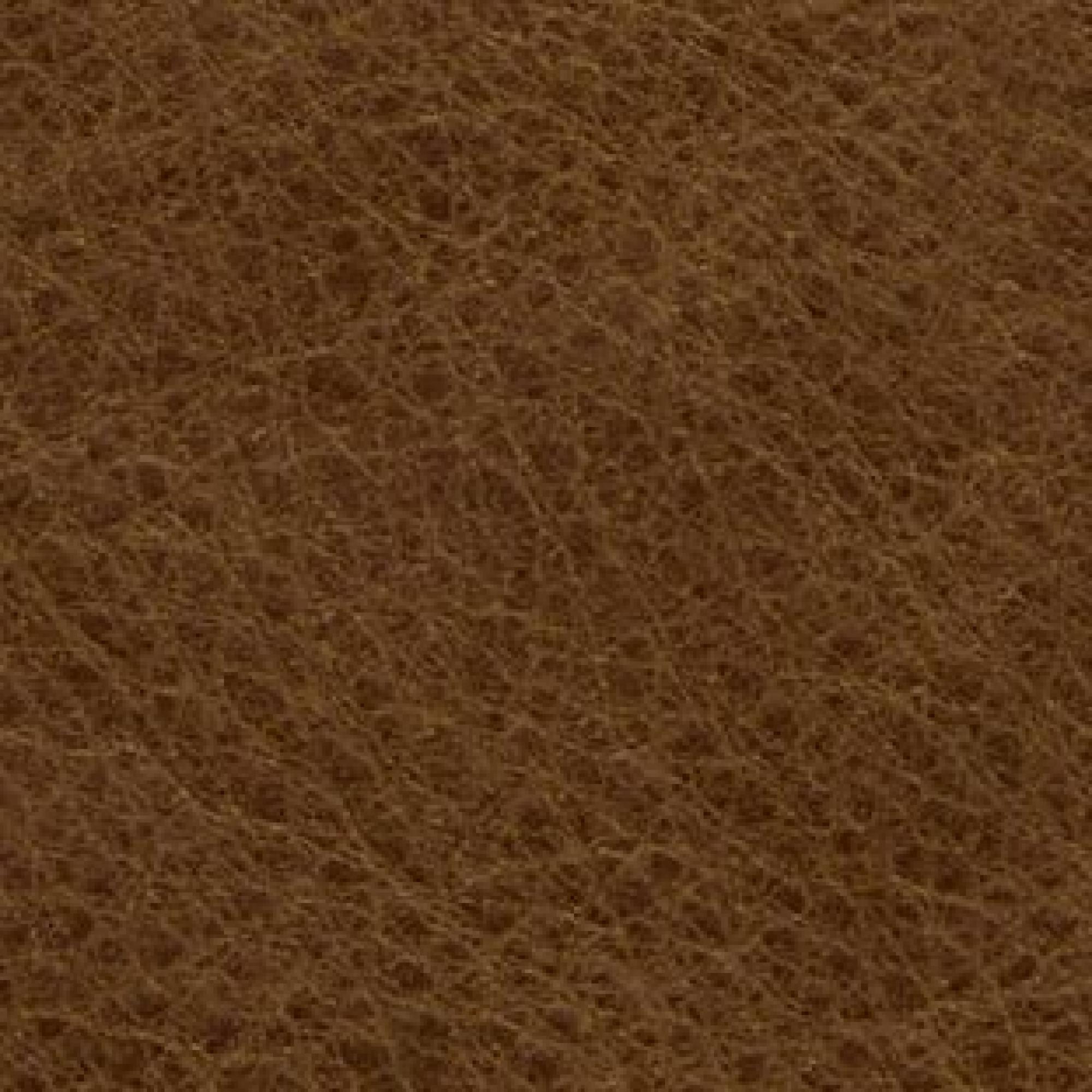 Leather : Antigo Cognac