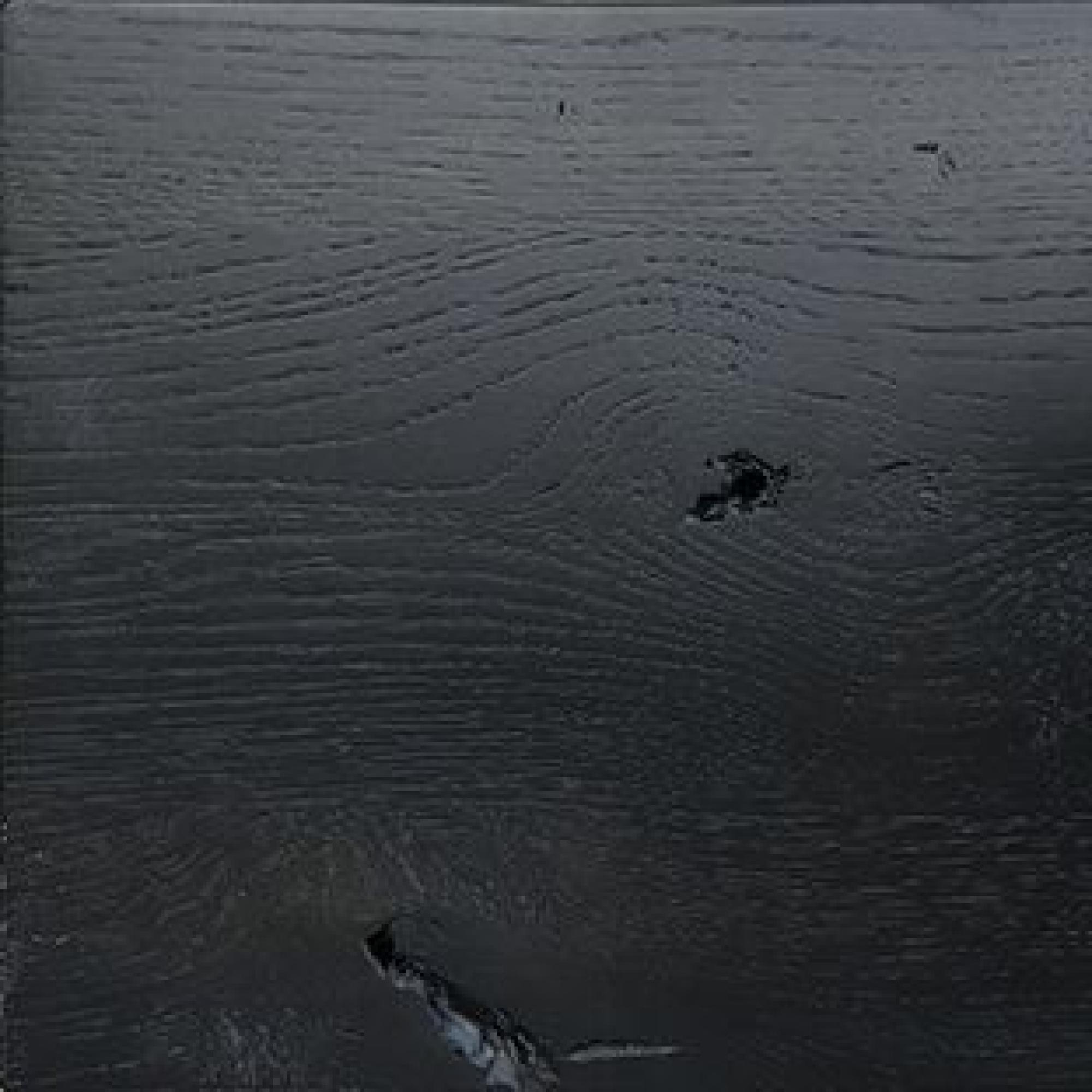 Black Matt Stained and Lacquered Oak 1