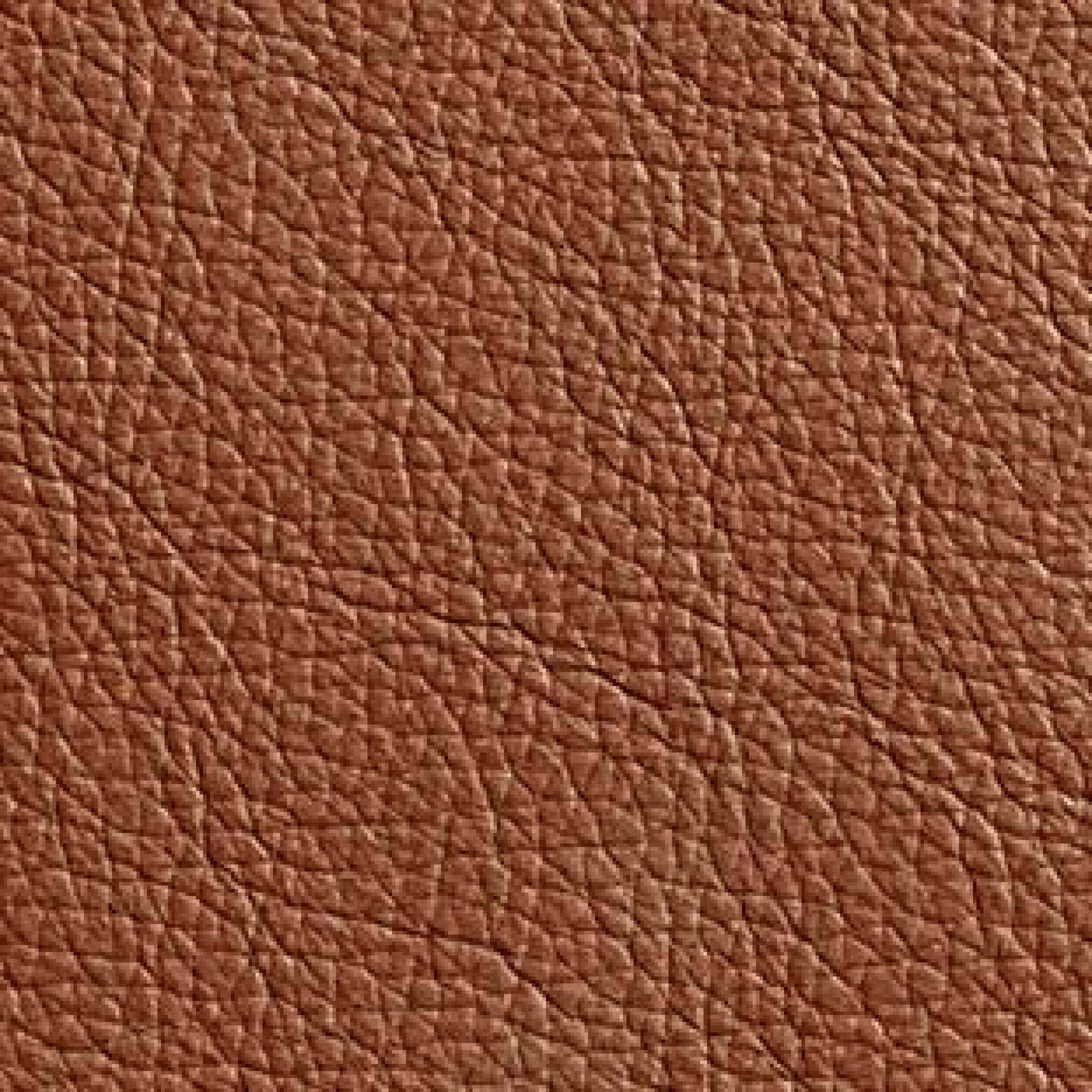 Leather : Hermes Cognac