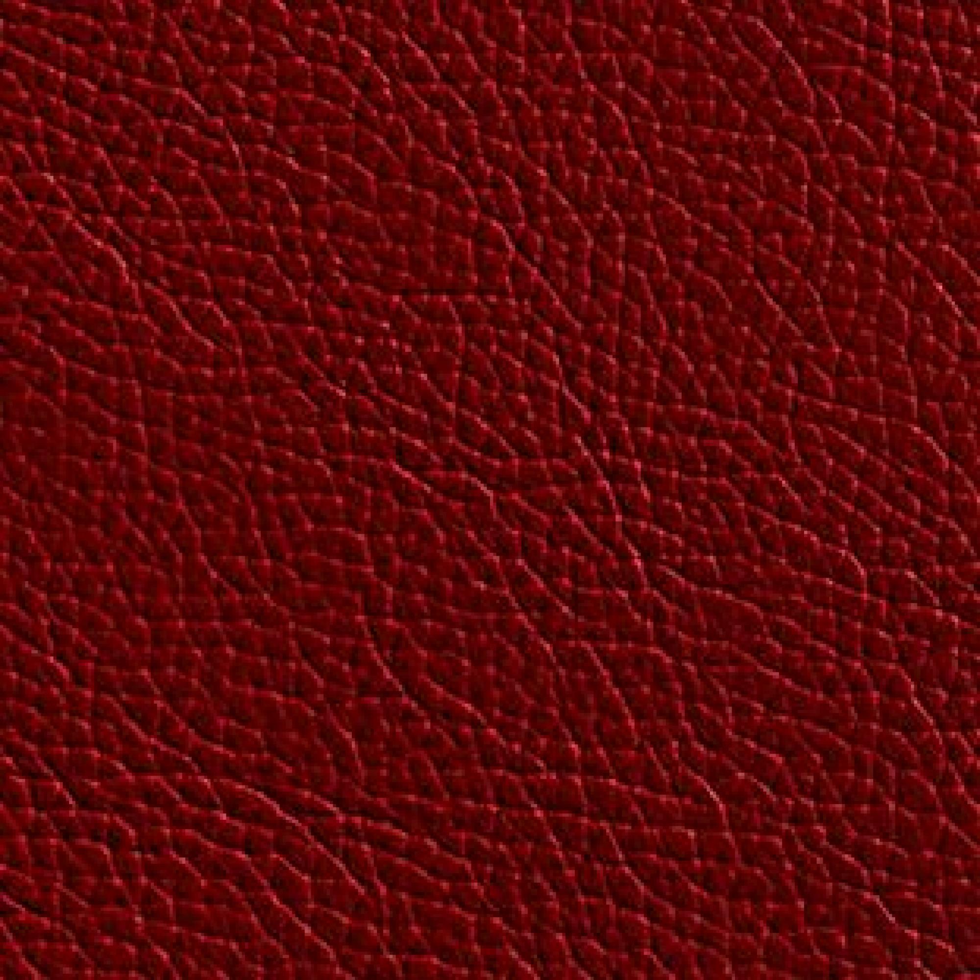 Leather : Hermes Red