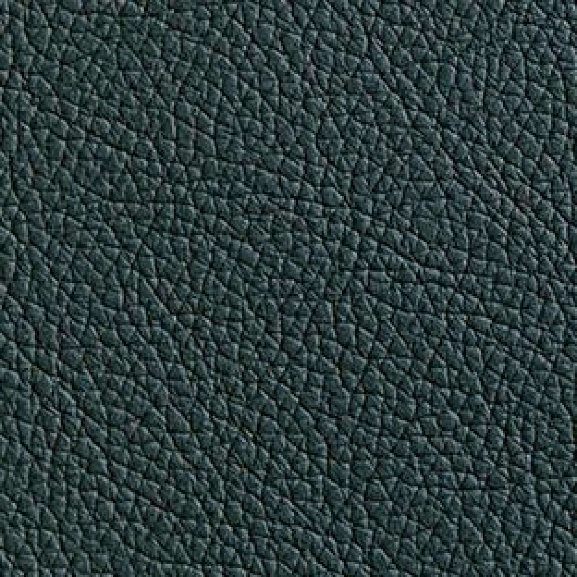 Leather : Hermes Verde