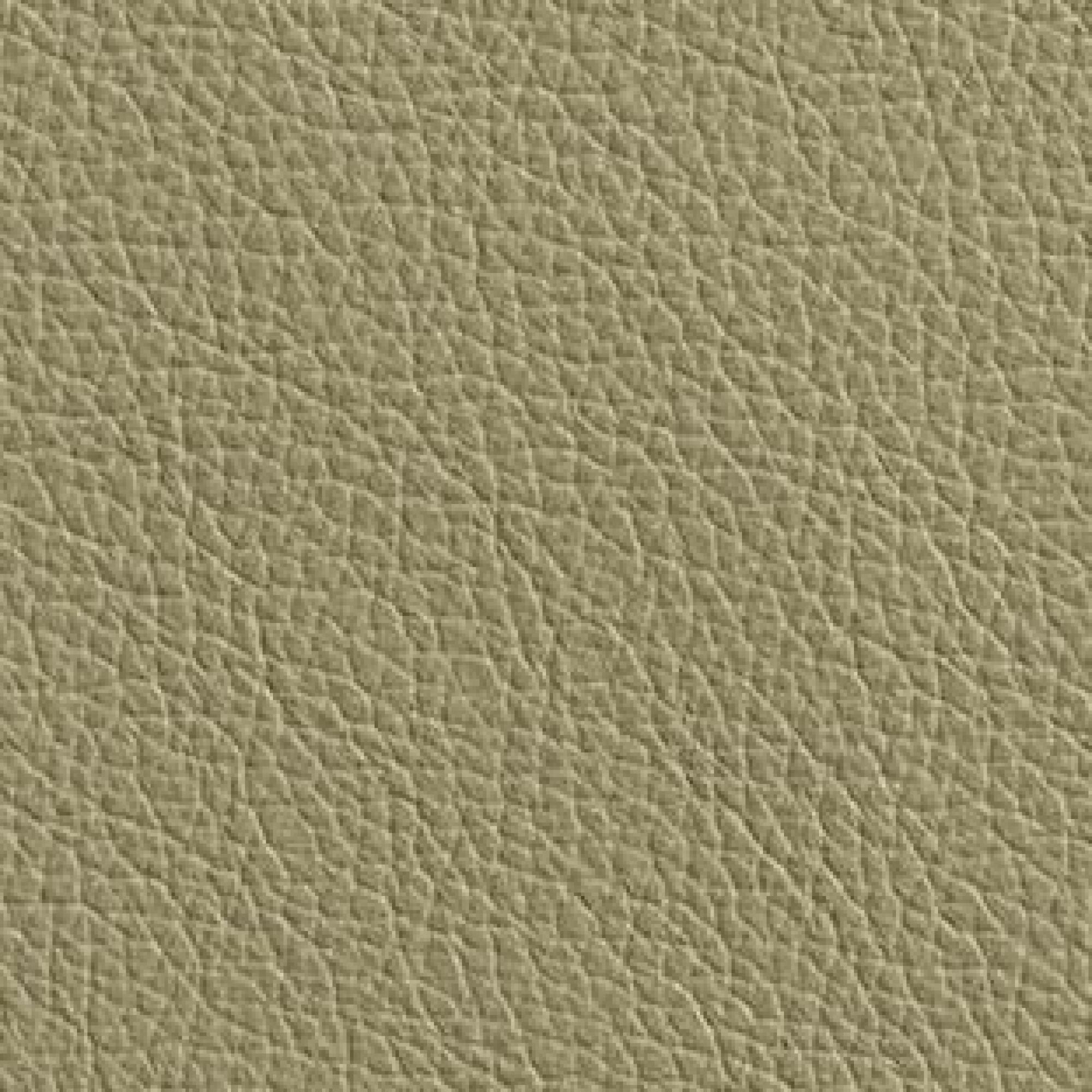 Leather : Hermes Dune