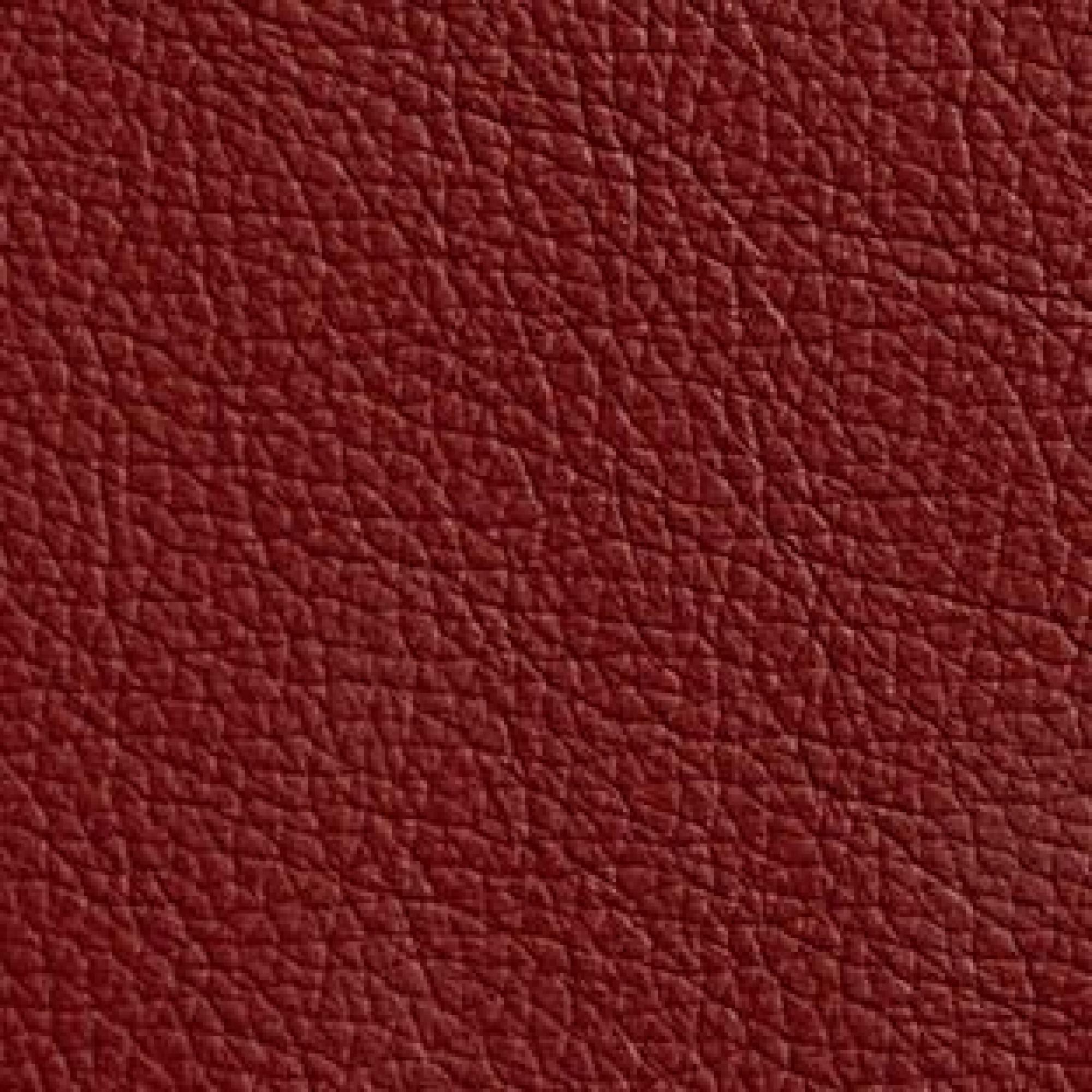 Leather : Hermes Fire