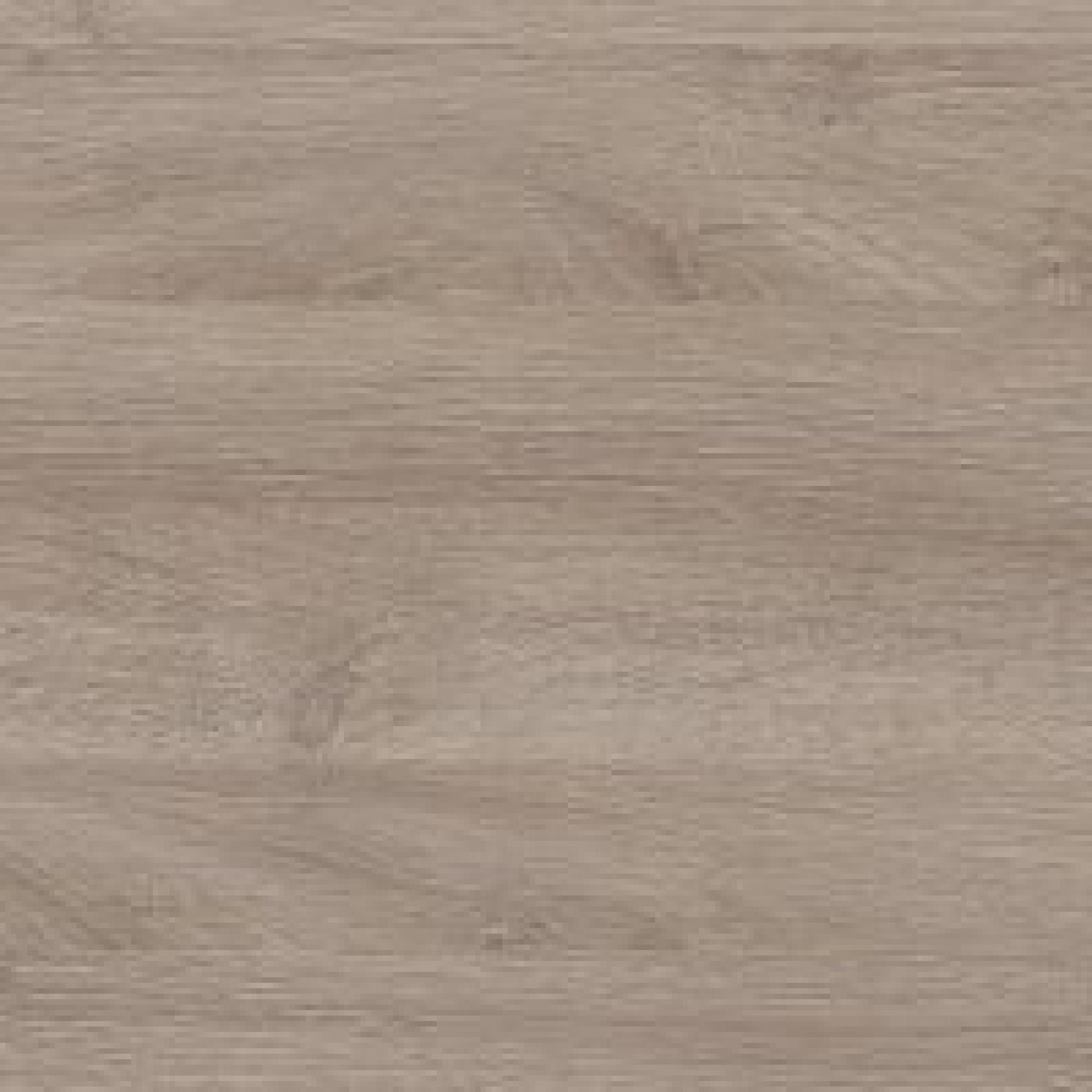 LO : Laguna Oak